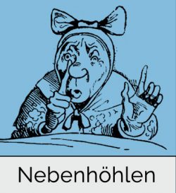 Nasennebenhöhlen